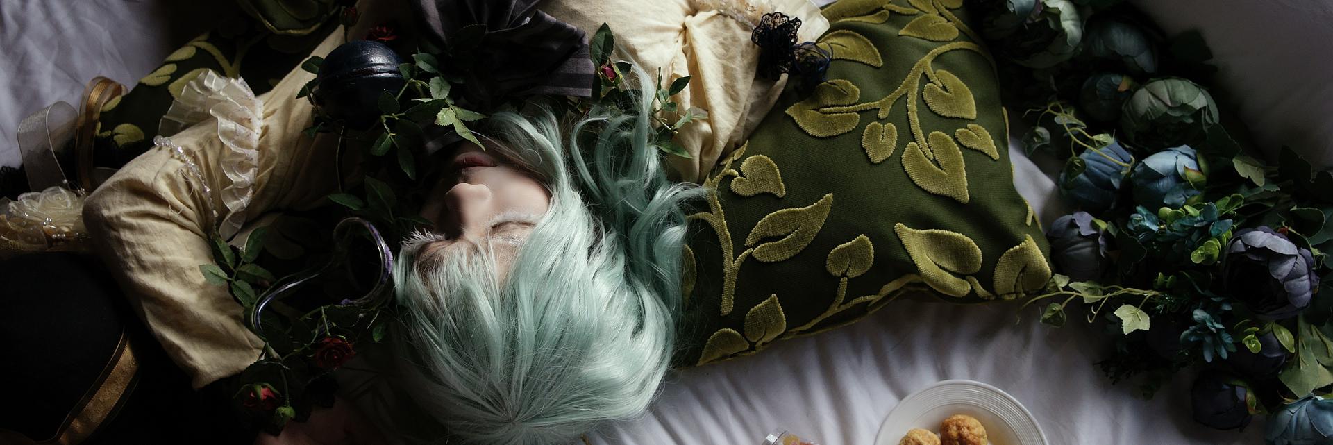 Willow_Aiko's profile banner image