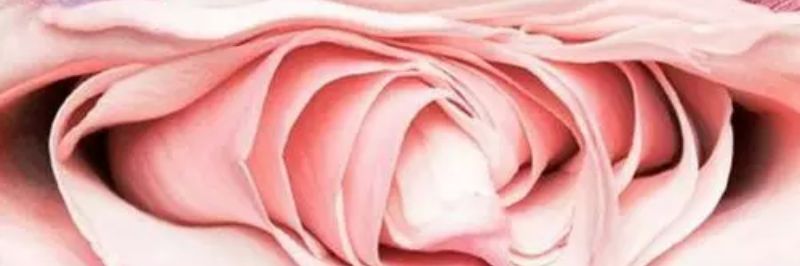 ooojanique's profile banner image