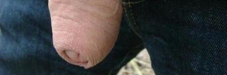 Gay_Big_Cock's profile banner image
