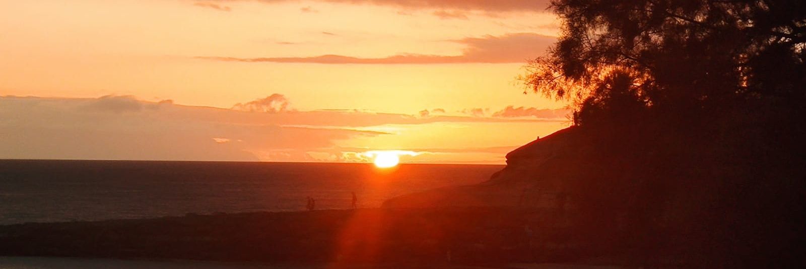 martavallc's profile banner image