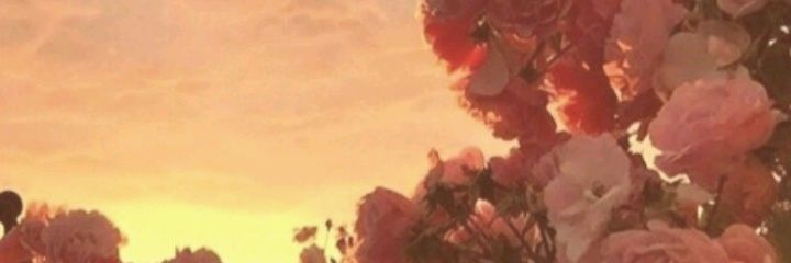 Angustiaslamala's profile banner image