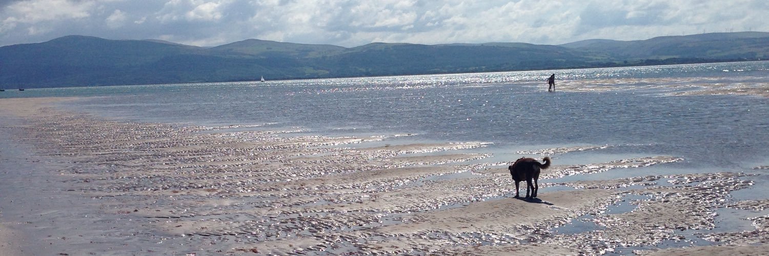 Angela Royle 🐺🙅‍♀️ banner