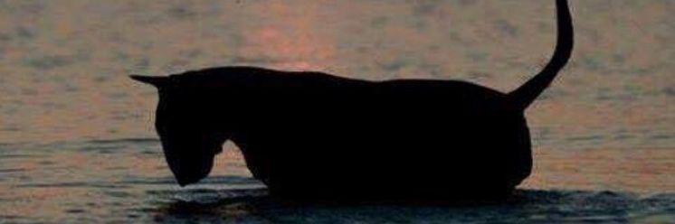 kevo1096's profile banner image