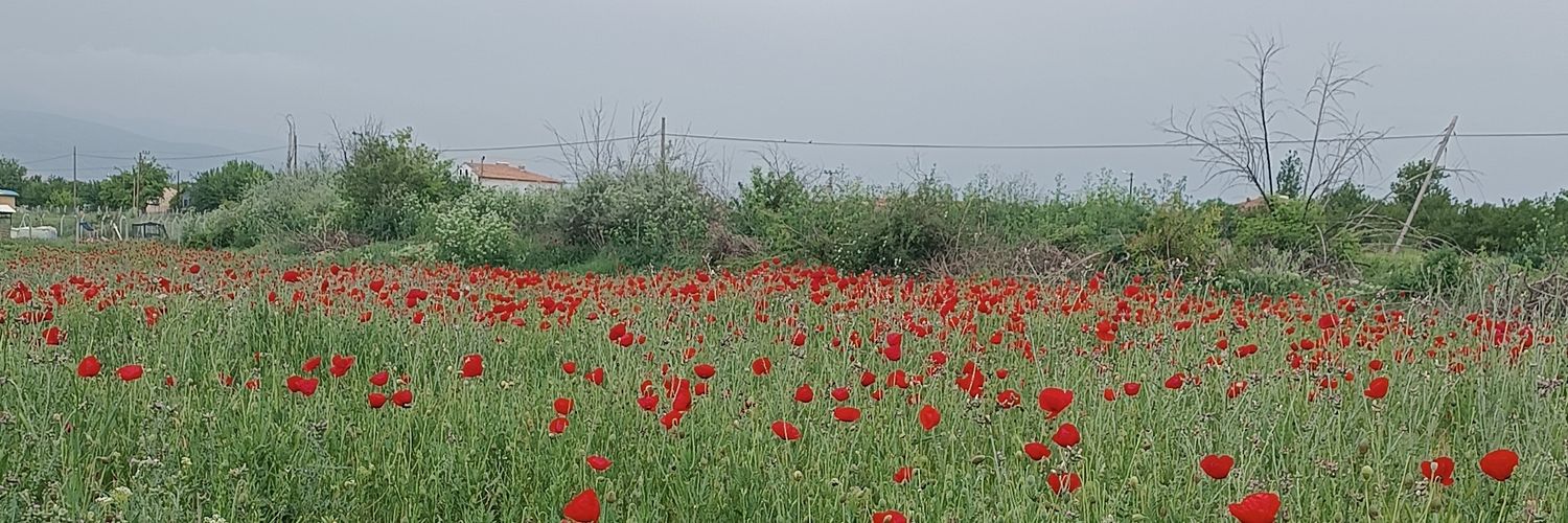 guldensee's profile banner image