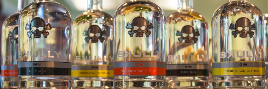 SkullyGin's profile banner image