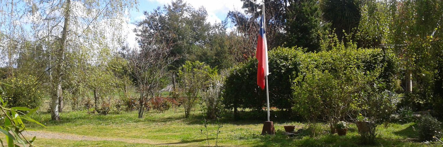 🌳🌳🌳🌳🌳javier andres 🌳🌳🌳🌳🌳 banner