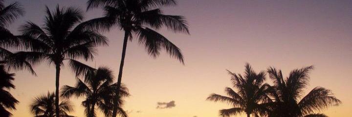 linvizzle's profile banner image