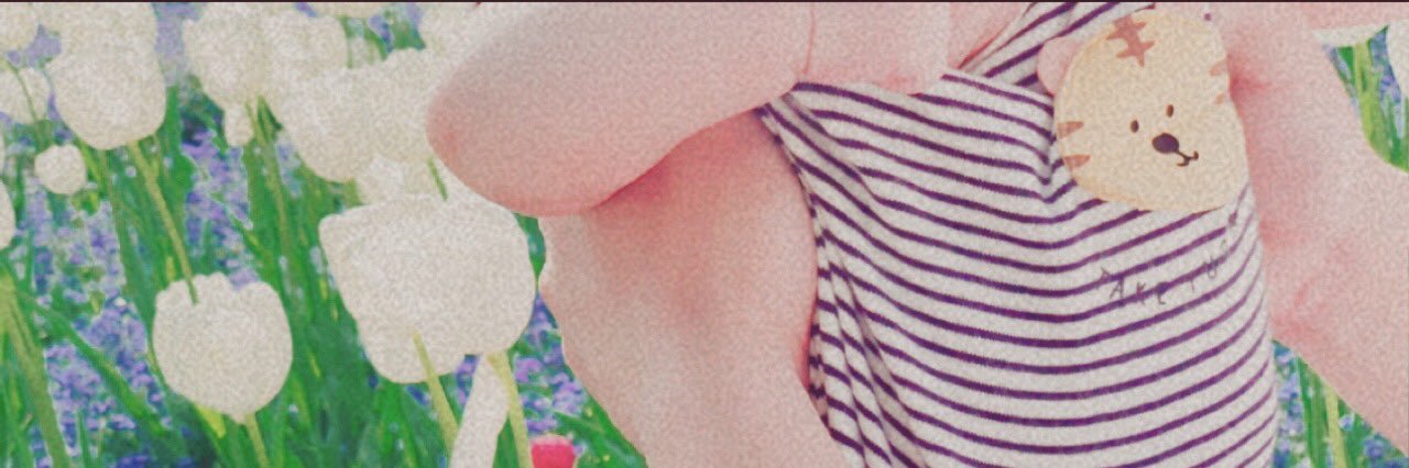 moepipi_orz's profile banner image