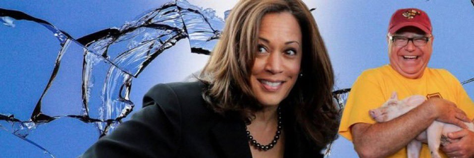 Michele Moore 💙🌊🌊🌊 🥥🌴🇺🇸🦅 banner