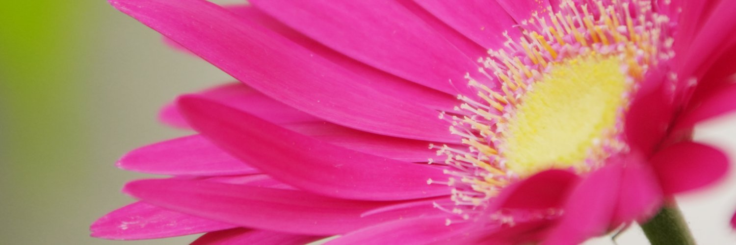 akman1964's profile banner image
