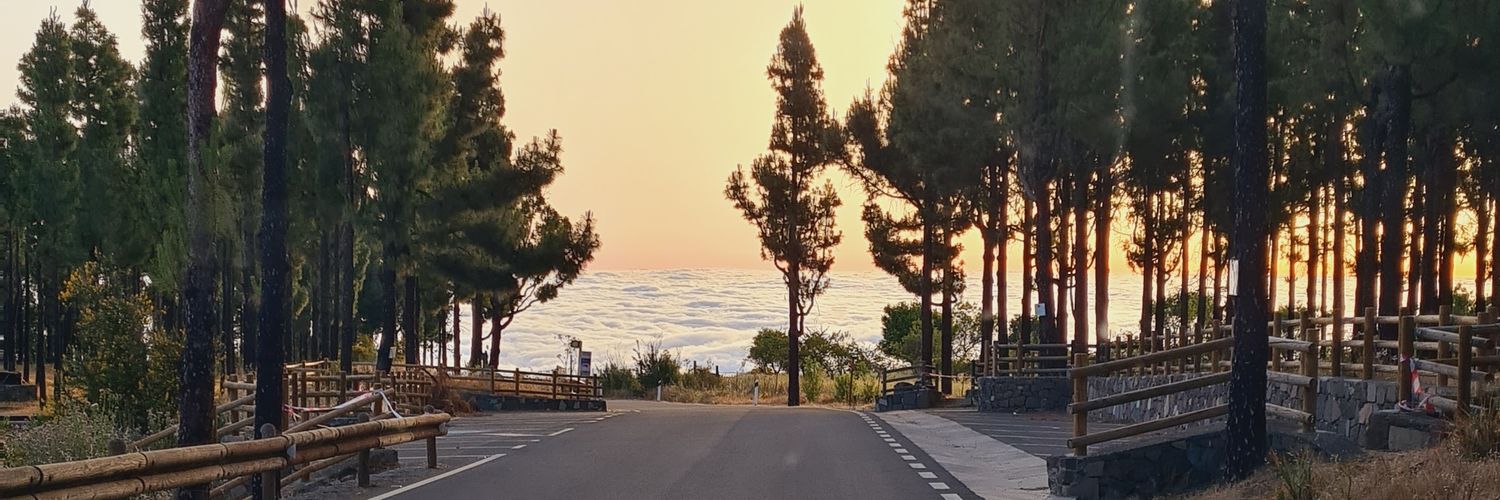 Natalia Alonso banner