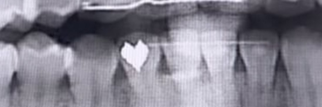 Samaël 🎗️ banner