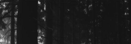 Richart_vt's profile banner image