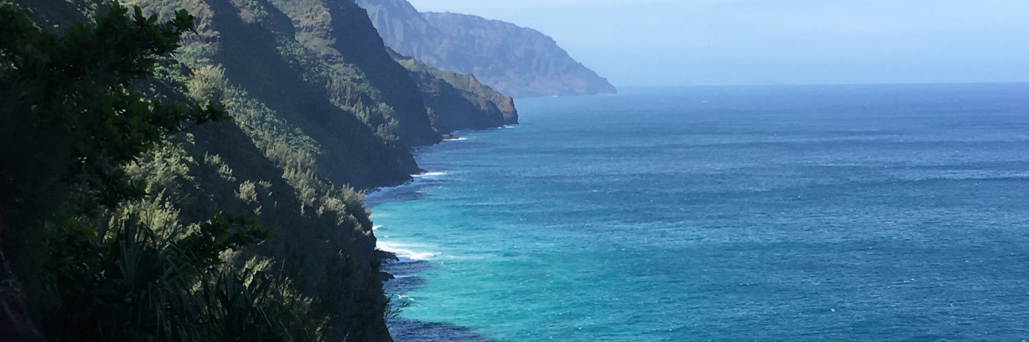 joemalibu's profile banner image