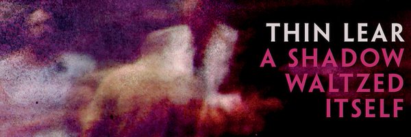 ThinLear Profile Banner