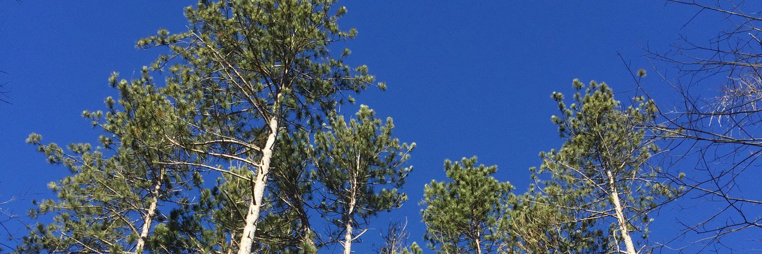 christopher brown banner