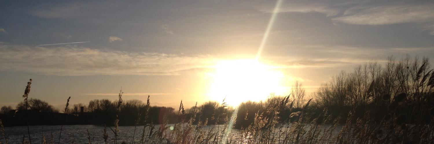 MelissaPrescod's profile banner image