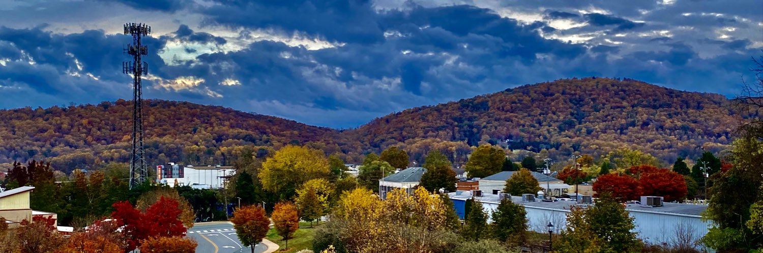 Julia V. Taylor banner