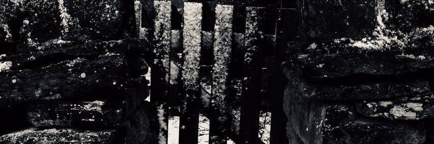 jillwordnerd's profile banner image