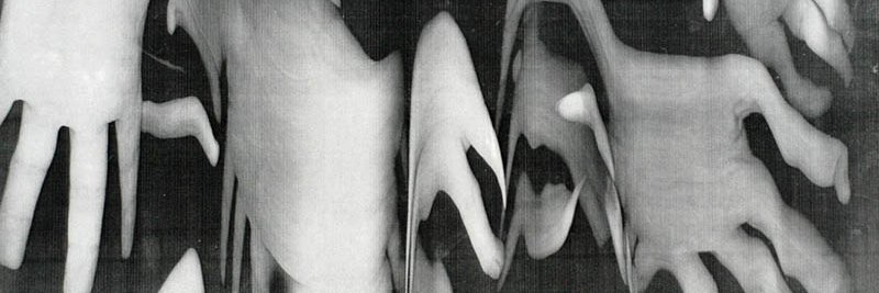veruncheek's profile banner image