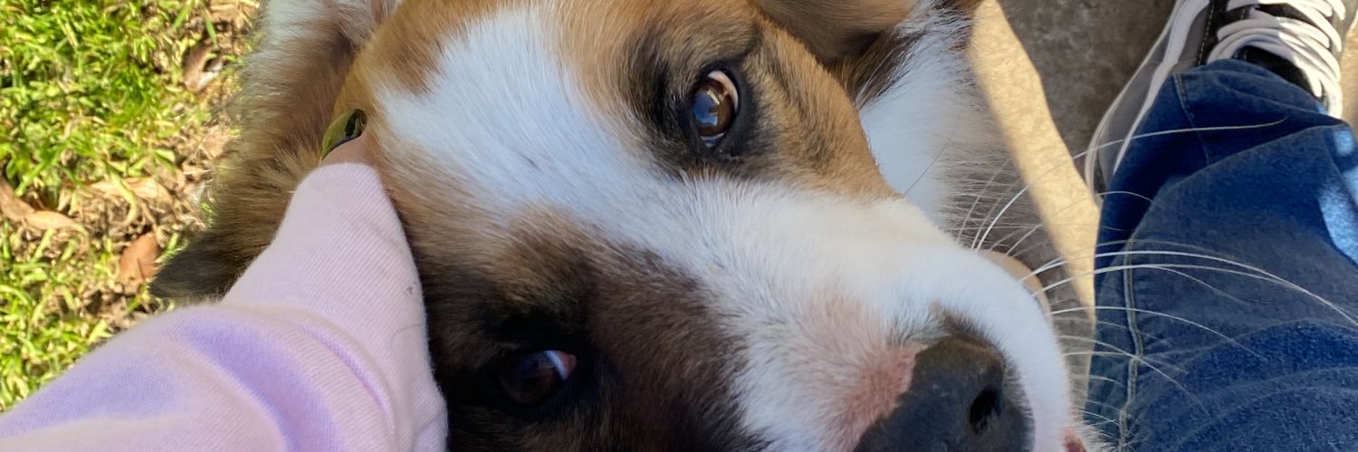 MaleOttoboni's profile banner image
