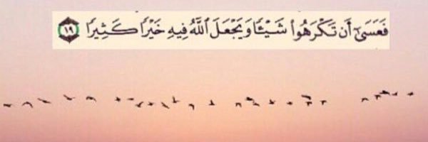 ناصر.... banner