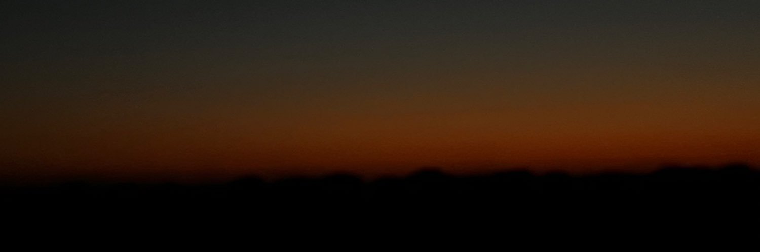 zobomb333's profile banner image