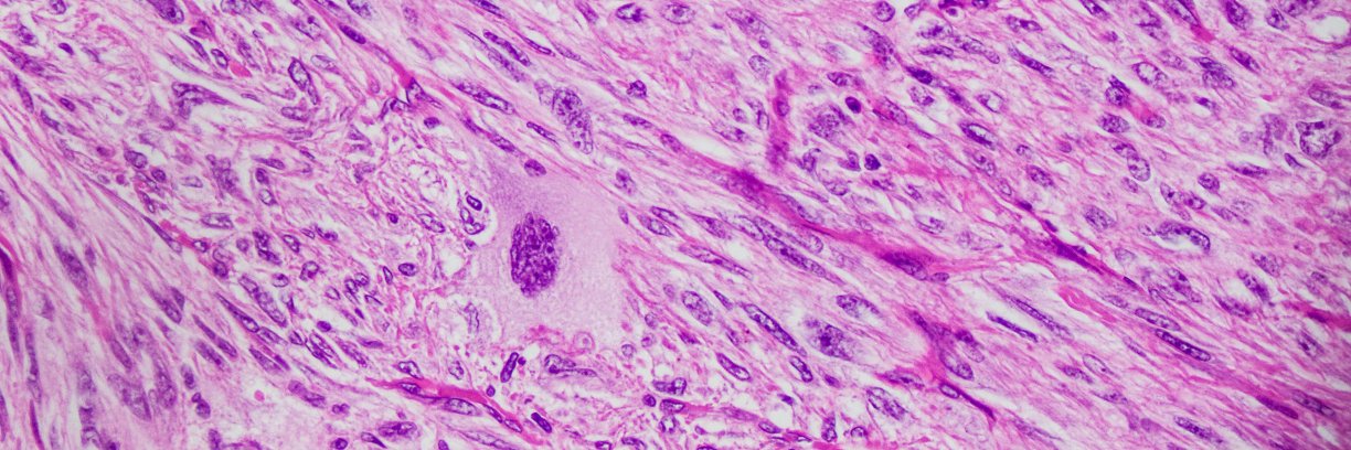 Michael P. Lee MD banner