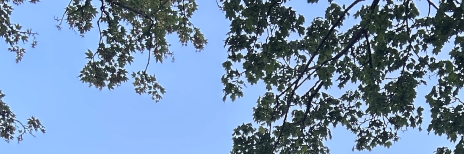 gregmckeon's profile banner image