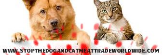 SusanDuncanolp's profile banner image