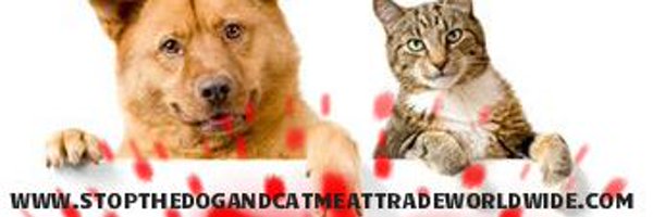 SusanDuncanolp Profile Banner