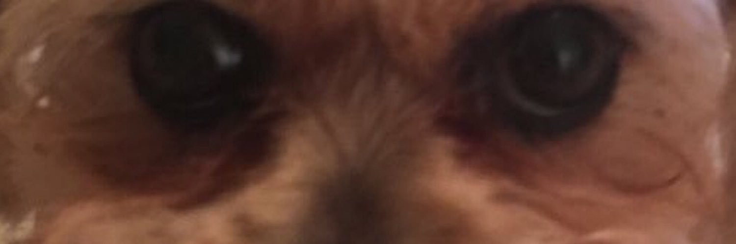 Theteeben's profile banner image