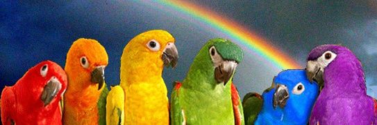 DameStephcool's profile banner image
