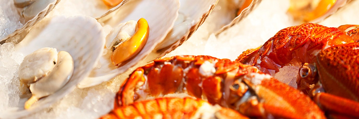 cooksbaq's profile banner image