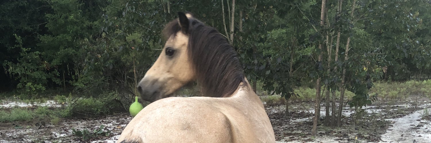PonyCoutureTYP's profile banner image