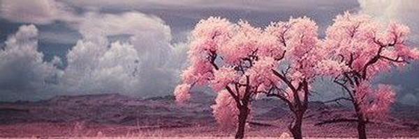 21Arielsouza Profile Banner