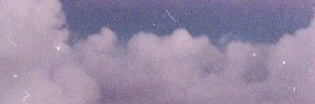 arabianflower's profile banner image