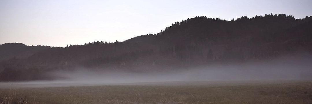 hiddengunsss's profile banner image