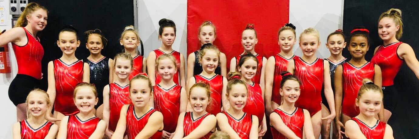 TheAcademyofGym's profile banner image
