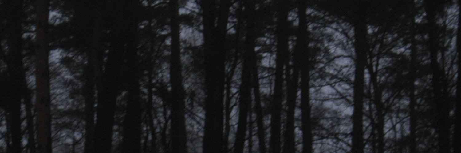 nyxncuts's profile banner image