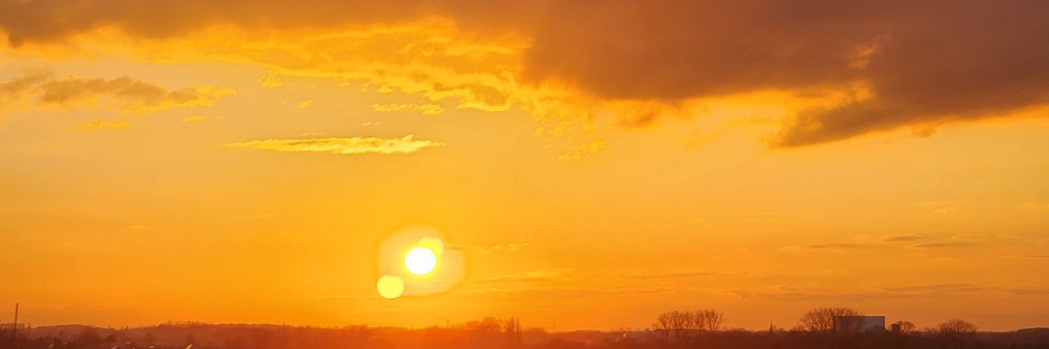 declercqdavinia's profile banner image
