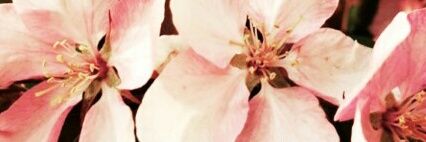 KINGMINSUCC's profile banner image