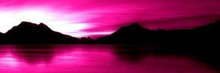 fioredilunae's profile banner image