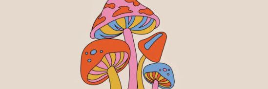 hannahpainter97's profile banner image
