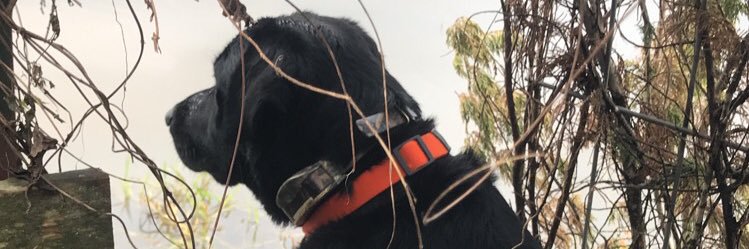 Thompson98Jake's profile banner image