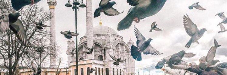 jtdanico's profile banner image