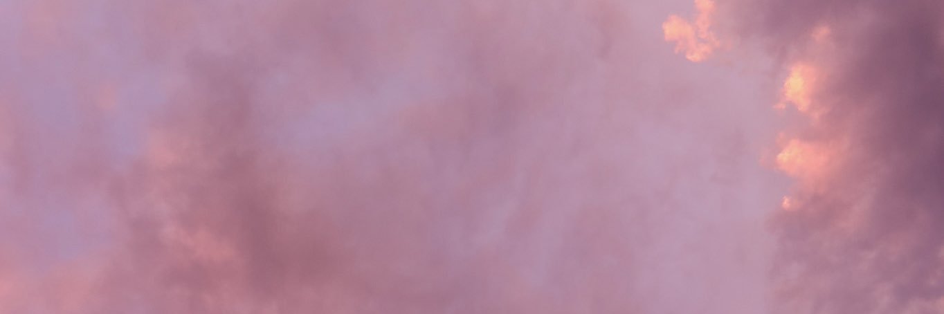 evelanddd's profile banner image