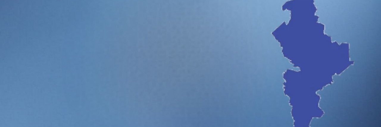 Pulso Politico NL banner