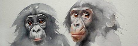 Proyecto Gran Simio banner