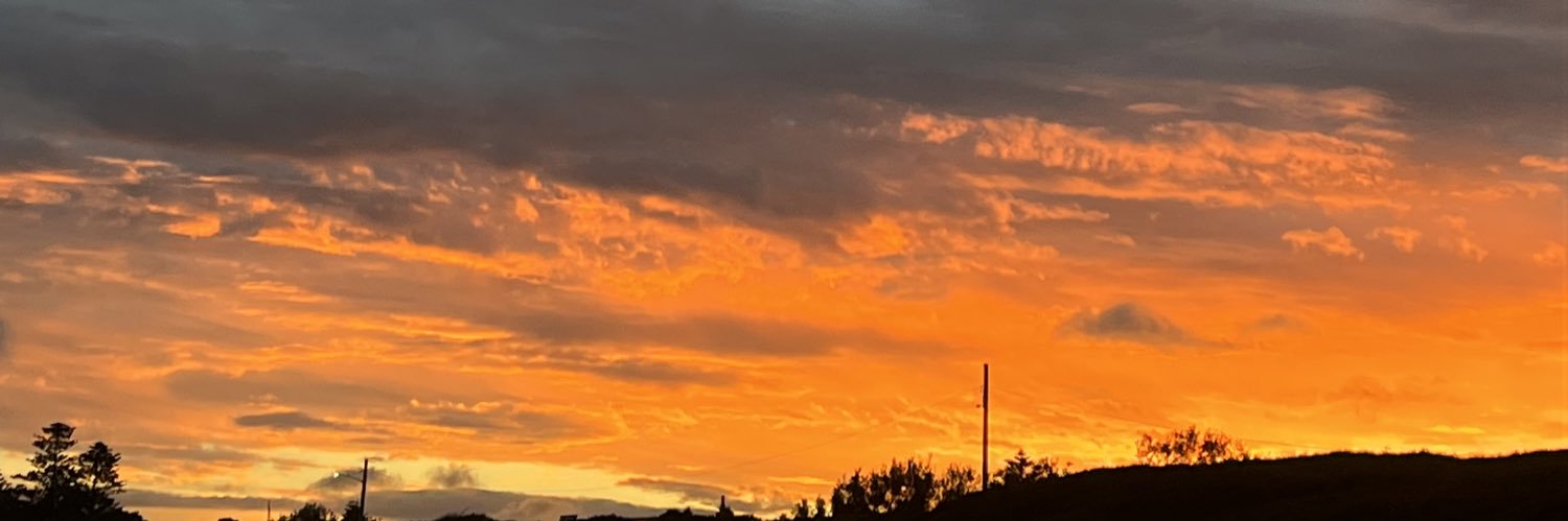 lovincal_'s profile banner image
